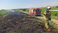 Manisa’da yüksek sıcaklık alarmı Bir günde 50 yangın çıktı