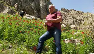 Tunceli'de mantar toplamaya giden orman görevlisi dağda hayatını kaybetti