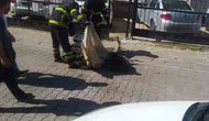 Lüleburgaz’da hareket halindeki elektrikli bisiklet bataryası bomba gibi patladı
