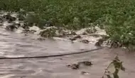 Kayseri'de sel kabusu tarlaları vurdu