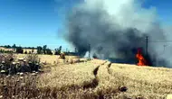 Malkara’da buğday tarlası alevlere teslim oldu
