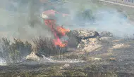 Manisa Kula'da makilik alanda yangın paniği