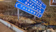 Mudurnu'da alkollü sürücü trafik levhasına çarptı