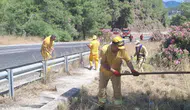 Marmaris ormanlarını korumak için yol kenarlarını temizliyor