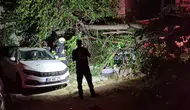 Eskişehir’de devrilen dut ağacı iki aracı hurdaya çevirdi