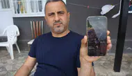 Hatay’da doğa yürüyüşüne çıkan grup çukura düşen kirpiyi kurtardı