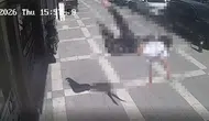 Şırnak İdil'de balkon faciası 12 yaşındaki çocuk ikinci kattan düştü