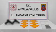 Döşemealtı jandarmasından zehir tacirine büyük darbe
