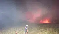 Bandırma’da çamlık yangını korkuttu