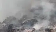 Mersin'de çöp sahasında başlayan yangın ormana sıçradı