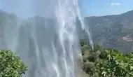 Nazilli'de yemek ısıtma hatası incir bahçesini yaktı