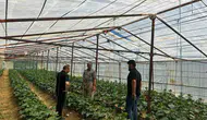 Yüksekova'da tarımı geliştirmek için ekipler tarlaya indi