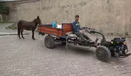 Amasyalı engelli gencin en sadık yol arkadaşı katırı oldu