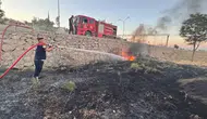 Hatay’da zeytinlikleri küle dönmekten itfaiye kurtardı