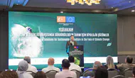 Mersin tarımında zararlılarla mücadele için faydalı böcek dönemi başlıyor