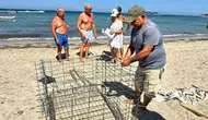 Didim sahillerinde caretta caretta heyecanı