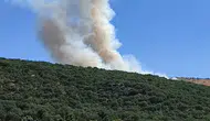 Silvan'da orman yangını ekipleri harekete geçirdi