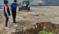 Aydın incirini korumak için hastalıklı ürünler imha edildi