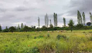 Köyceğizli besici bu yıl ot bolluğuyla yüzü gülüyor