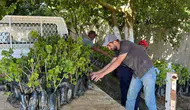 Manisalı iki kardeşten Türkiye’nin üzüm bağına dev destek