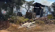 Cunda Adası’ndaki yangın zeytinlikleri küle çevirdi