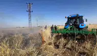 Viranşehirde bir çiftçinin tüm yılı elektrik kıvılcımlarıyla yok oldu