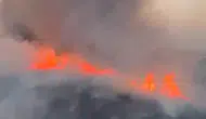 Gaziantep Oğuzeli’nde buğday tarlaları alevlere teslim oldu