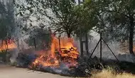 Adıyaman Karadağ’da orman yangını paniği