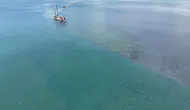 İzmit Körfezi temizlendi deniz canlıları geri döndü