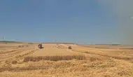 Tekirdağ’da alevlerin arasında hasat mücadelesi