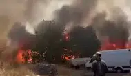 Diyarbakır Çarıklı'da tarım arazileri alevlere teslim oldu