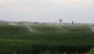 Konya çiftçisi yeraltı suyuna geç ulaştı Barajlar doldu