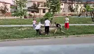 Denizli'de parkta dehşet anları Doktor saldırgan köpeği durdurdu