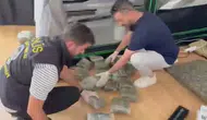 Beylikdüzü'ndeki daireyi uyuşturucu serasına çevirmişler