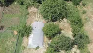 Sakarya'da sera görünümlü uyuşturucu tarlasına dronlu baskın