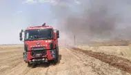 Nusaybin'de tarım arazilerindeki yangın büyümeden durduruldu