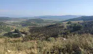 Manisa Akhisar'da orman yangını büyümeden söndürüldü