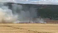 Araban Ovası’nda büyük yangın 93 dönüm buğday yandı