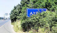 Aydın girişindeki şehir tabelası yabani otların altında kayboldu