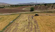 Batmanlı çiftçinin kuraklık kabusu bitti mercimek tarlaları altın yılını yaşıyor