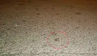Yıldırım’da gece yarısı silahlı kavga