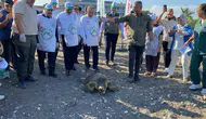 Mersin kıyılarında üç deniz kaplumbağası tekrar özgürlüğüne kavuştu