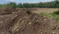 Gübre fiyatlarında şaşırtan istikrar çiftçinin yüzünü güldürdü