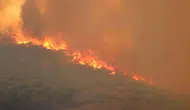 Uzmanlar uyarıyor Bu yaz orman yangınları ve aşırı sıcaklar kapıda