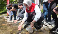 Düzce dereleri 7 bin 500 yeni misafirini ağırlıyor