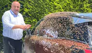 Ordu merkezinde arı istilası park halindeki aracı esir aldı