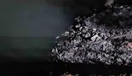 Bakırköy sahilinde yüzlerce balık kıyıya vurdu
