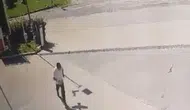 Elazığ sokaklarında karga dehşeti kameraya yansıdı