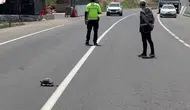 Erzurum Hınıs'ta trafikteki kaplumbağayı polis korumaya aldı