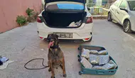 Balıkesir polisine uyuşturucu operasyonunda büyük başarı